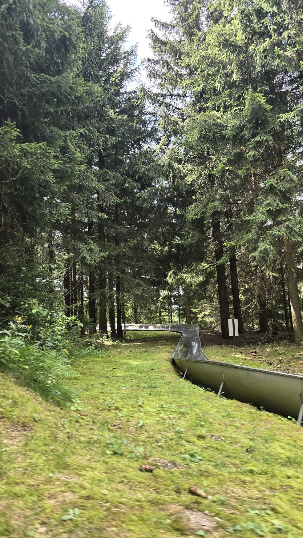 Sommerrodelbahn in Altenberg