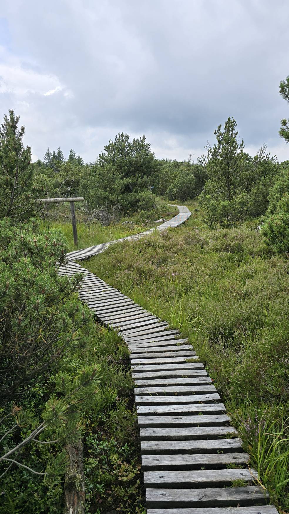 Hochmoor